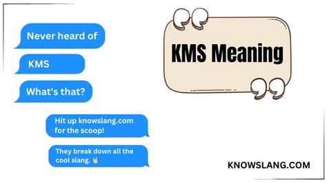 what does kms stand for in text|KMS Meaning, Example, Causes and Uses (2024)